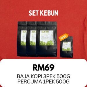 SET KEBUN